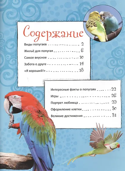 Как дружить с попугайчиком + наклейки внутри - фото 2