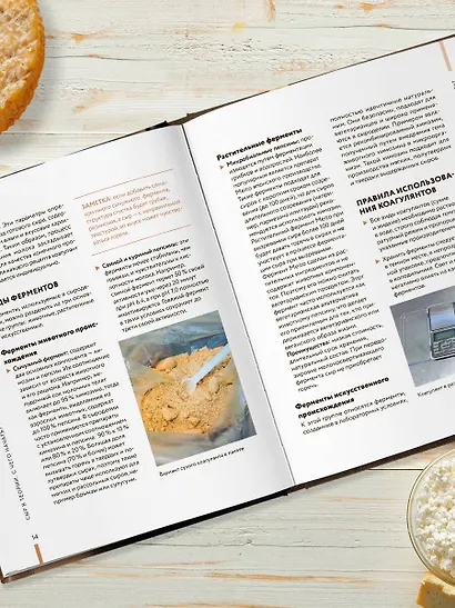 Домашний сыр. Пошаговая книга-курс от новичка до мастера - фото 8