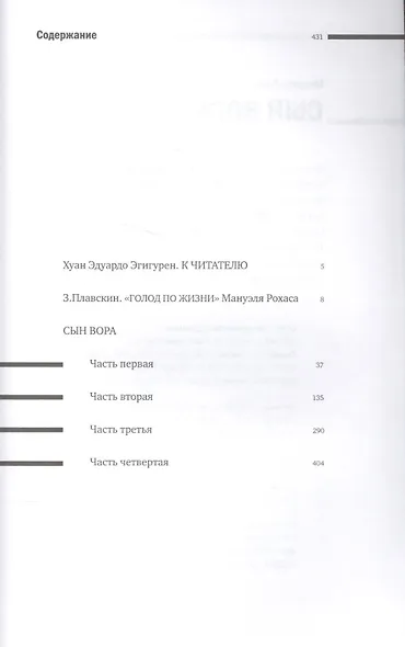 Сын вора (16+) - фото 2