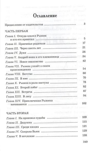 Рыжик - фото 2