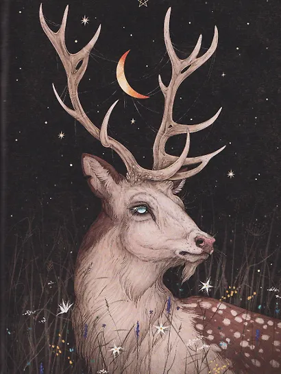 Selcha Uni. Артбук - фото 14