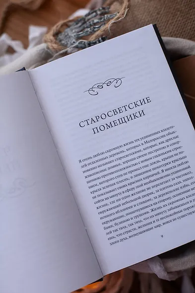 Миргород. Вечные истории - фото 11