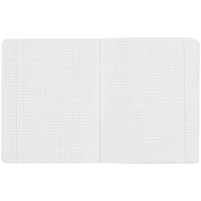 Тетрадь в клетку Hatber, "Прикольный енот", 48 листов, в ассортименте - фото 2