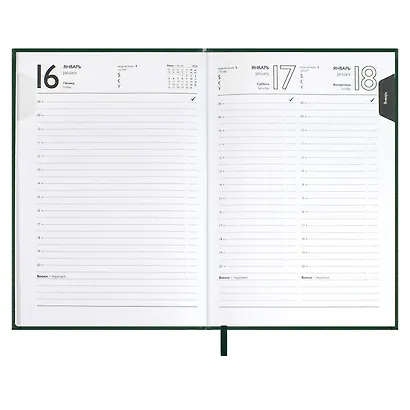 Ежедневник дат. 2026г. А5 176л "Наппа" зеленый, кожзам, тв.переплет, обл.поролон, блинт.тиснение, офсет, справ.мат-лы, ляссе, инд.уп - фото 11