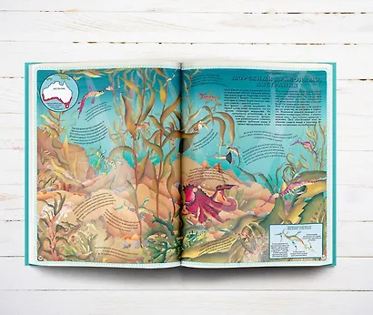 Большой атлас подводного мира в картинках - фото 3