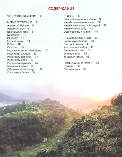 ЭНЦИКЛОПЕДИЯ ДЛЯ ДЕТЕЙ новые. КТО В ДЖУНГЛЯХ ЖИВЁТ? - фото 5
