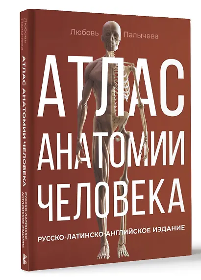 Атлас анатомии человека. Русско-латинско-английское издание - фото 3