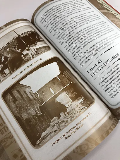 12 стульев. Золотой теленок. Коллекционное иллюстрированное издание - фото 7