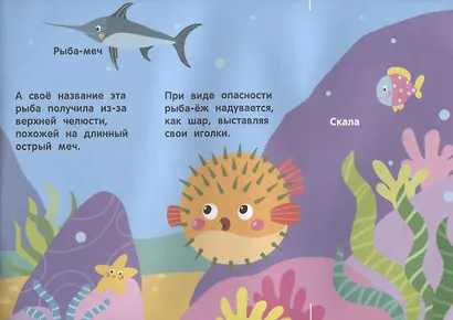 Кто под водой живет? - фото 3