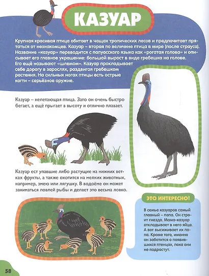 Птицы для малышей - фото 3