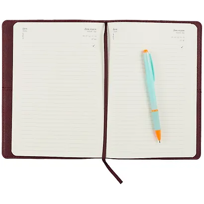 Ежедневник недатированный "Напплак/Лэвелюр", А5, 160 листов, бордовый - фото 3