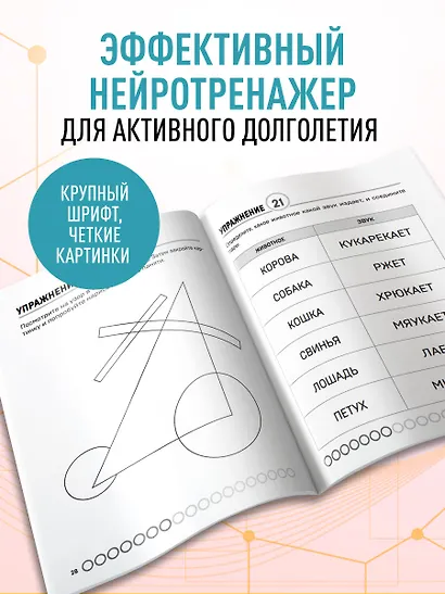 Мозг в тонусе. Головоломки и упражнения для памяти и внимания - фото 5