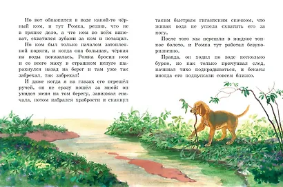Лисичкин хлеб. Рассказы о животных (ил. С. Ярового) - фото 4