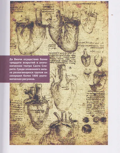 Анатомия шедевров. Что видит врач там, где другие видят только искусство - фото 9