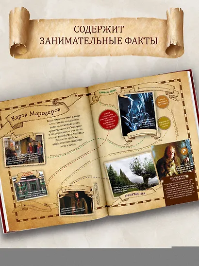 Лучшие головоломки по волшебному миру Гарри Поттера - фото 5