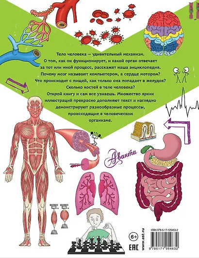 ПочемуЗачемКак? Энциклопедия человека: как работает наш организм - фото 2