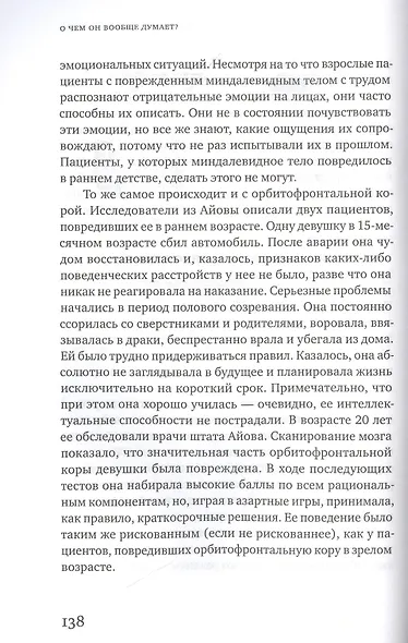 О чем он вообще думает? Мозг подростка: время уникальных возможностей - фото 5