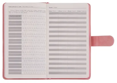 Ежедневник недат. А6+ 120л 110x190 "Тиволи" розовый, кожзам, тв.переплет, тисн.фольгой, магнит.клапан, офсет, загругл.углы, справ.мат-лшы, ляссе, инд.уп - фото 4