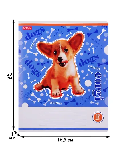 Тетрадь в клетку Hatber, "Из жизни корги", 12 листов, в ассортименте - фото 2