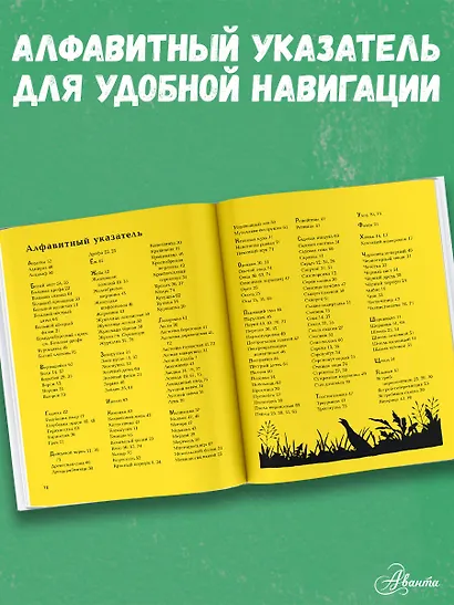 Животные рядом с нами - фото 6