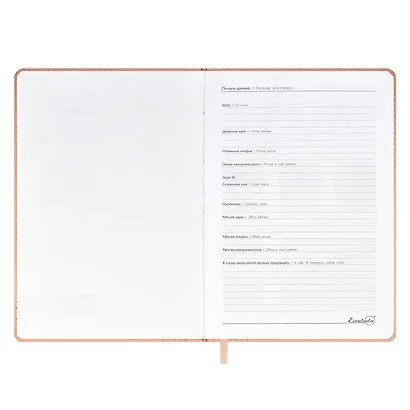 Ежедневник недат. А5 160л "Аппрет" пепельно-розовый, кожзам, тв.переплет, 3D-дизайн, офсет, ляссе - фото 4