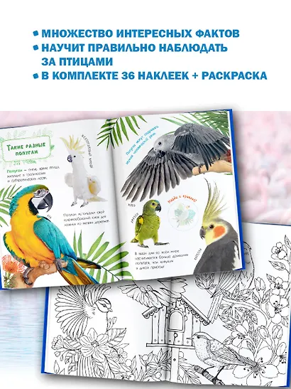 Птицы - фото 7