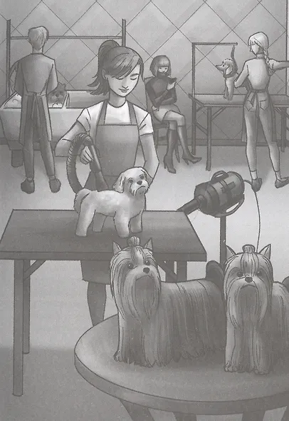 ДЕТСКИЙ ДЕТЕКТИВ. Запутанное дело о пропаже сапфиров - фото 3