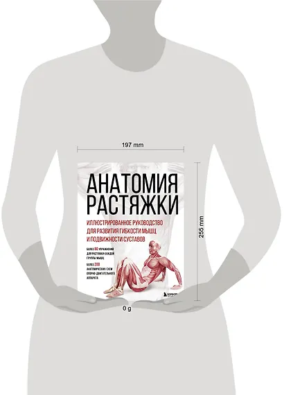 Анатомия растяжки. Иллюстрированное руководство для развития гибкости мышц и подвижности суставов - фото 8