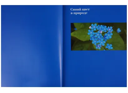 Синий. Черный/белый. Красный. Зеленый. Желтый (комплект из 5 книг) - фото 6