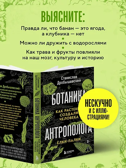 Ботаника антрополога. Как растения создали человека. Елки-палки - фото 7