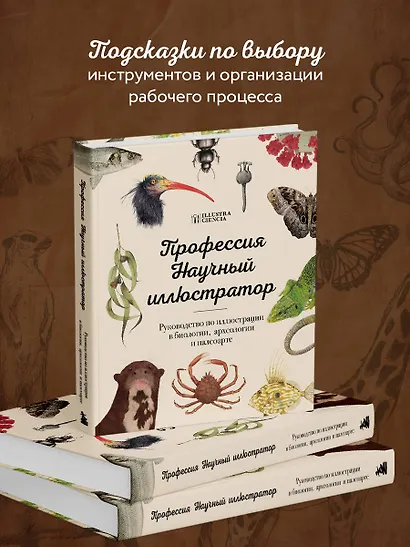 Профессия — Научный иллюстратор. Руководство по иллюстрации в биологии, археологии и палеоарте - фото 6