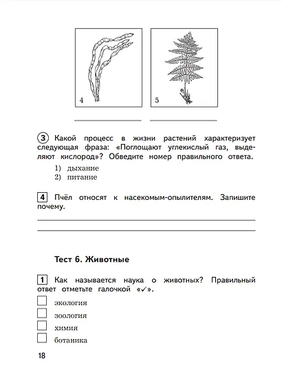 Окружающий мир. 3 класс. Предварительный контроль, текущий контроль, итоговый контроль - фото 4