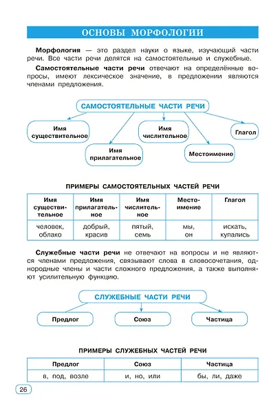 Все виды разбора в русском языке. 1-4 классы - фото 15