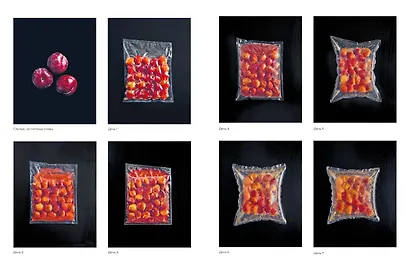 Гид по ферментации от Noma - фото 6