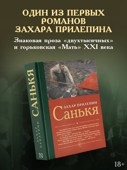 Санькя - фото 3