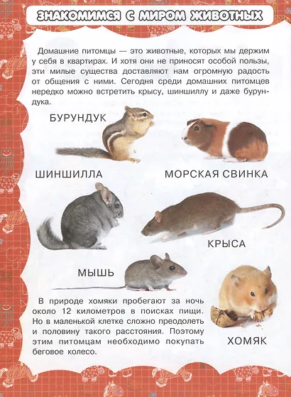 Животные - фото 5