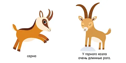 Первые книжки малыша. Мои первые слова. Животные - фото 5