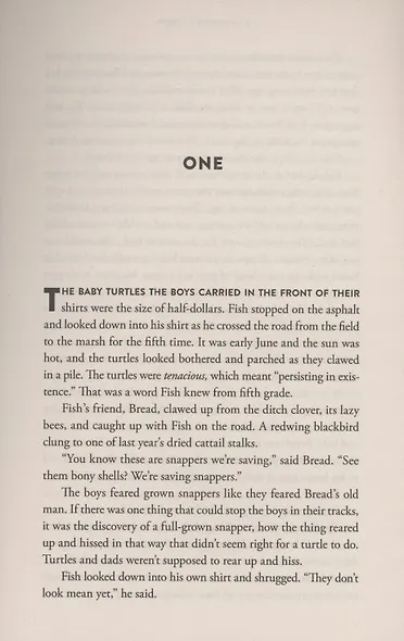 Raft of Stars - фото 2