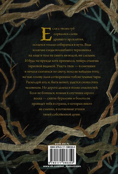 Терновая ведьма. Изольда - фото 2