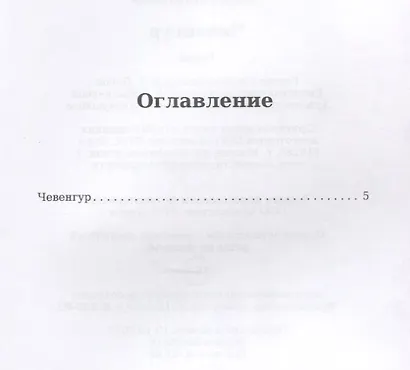Чевенгур - фото 2