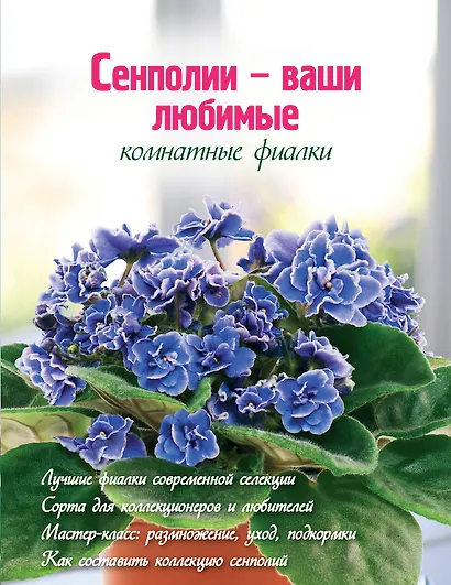 Сенполии - ваши любимые комнатные фиалки - фото 1
