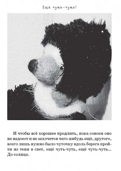 Зежик и Медвед. Сказки о нас - фото 5