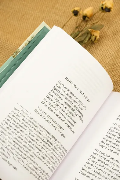 Золотой век русской поэзии - фото 8