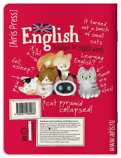 Тетрадь для записи английских слов Айрис, "Весёлые котята", А5, 24 листа - фото 2