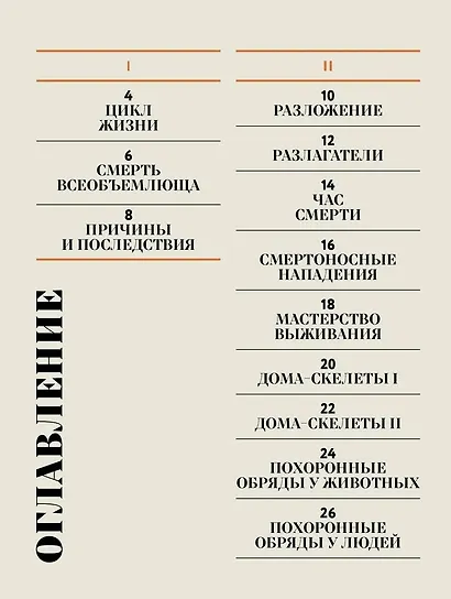 Чудесная книга смерти - фото 2