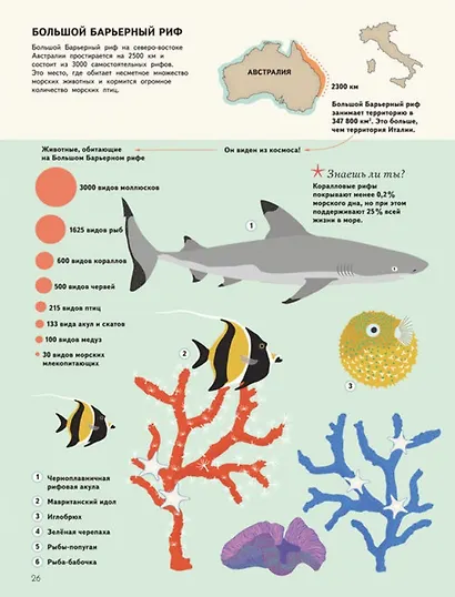 Подводный мир. Визуальный гид - фото 5