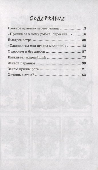 Санька, обернись - фото 2
