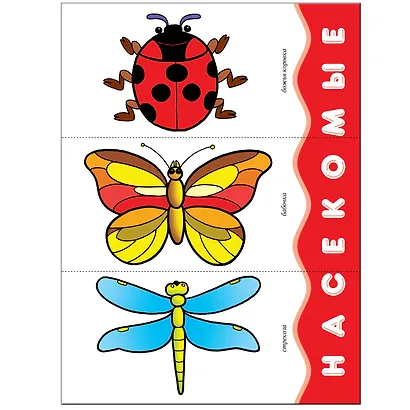 Мой первый словарик. Для занятий с детьми от 1 до 2 лет - фото 4