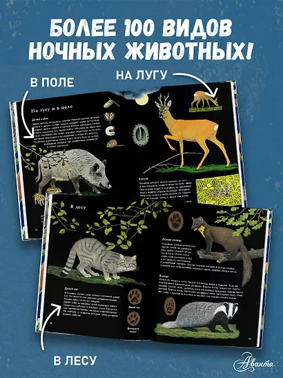 Ночные животные - фото 4