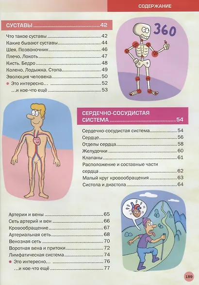 Большая иллюстрированная энциклопедия. Все о теле человека - фото 3